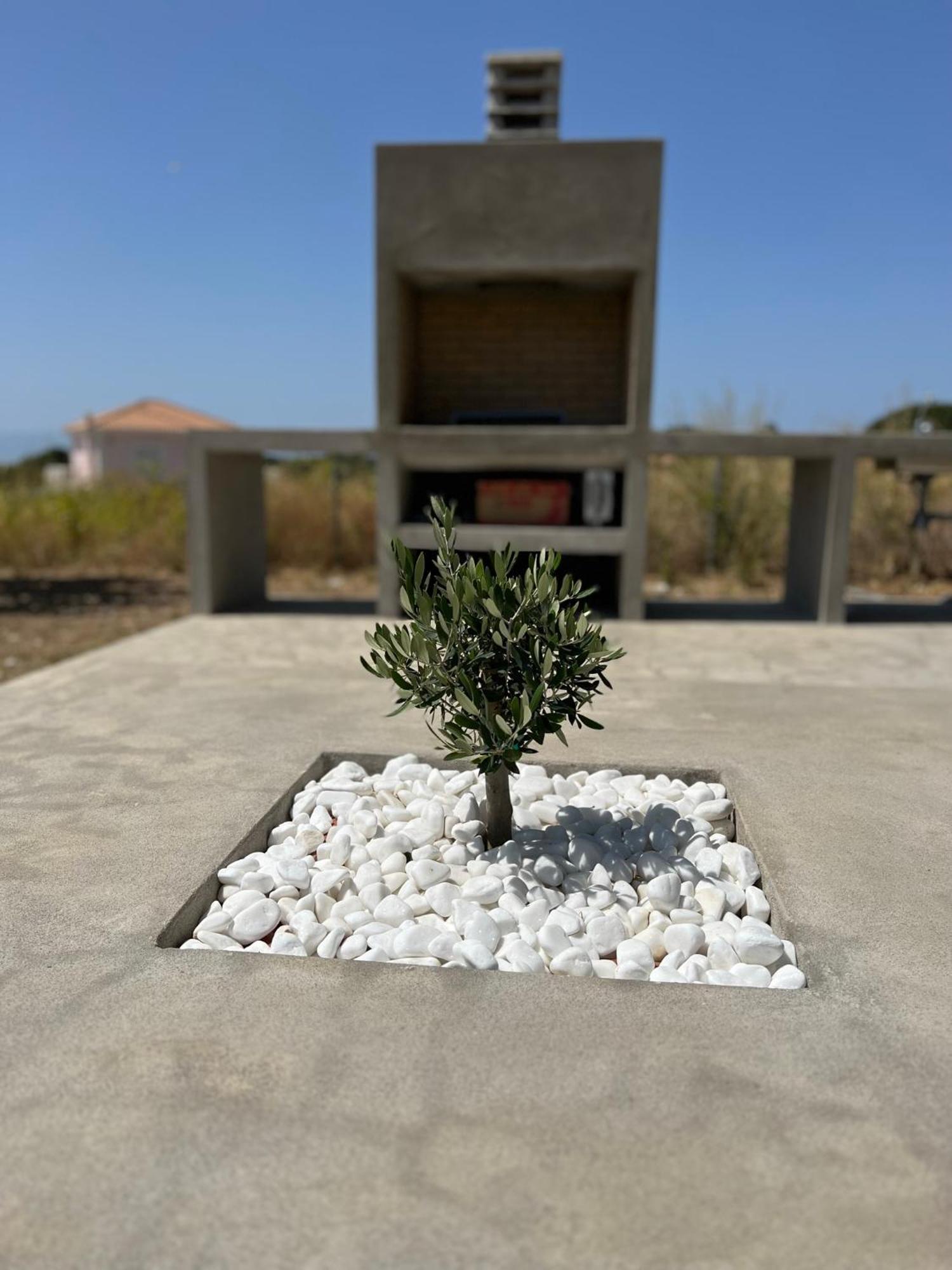 Alberi - Izla Homes Skala  Exterior foto